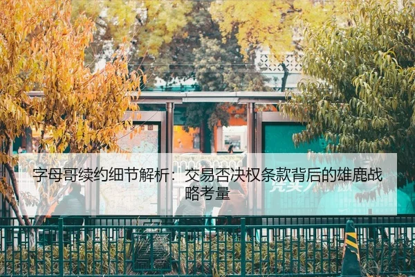 zi-mu-ge-xu-yue-xi-jie-jie-xi-jiao-yi-fou-jue-quan-tiao-kuan-bei-hou-de-xiong-lu-zhan-lve-kao-liang-1-577.jpg