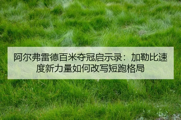 a-er-fu-lei-de-bai-mi-duo-guan-qi-shi-lu-jia-lei-bi-su-du-xin-li-liang-ru-he-gai-xie-duan-pao-ge-ju-1-708.jpg